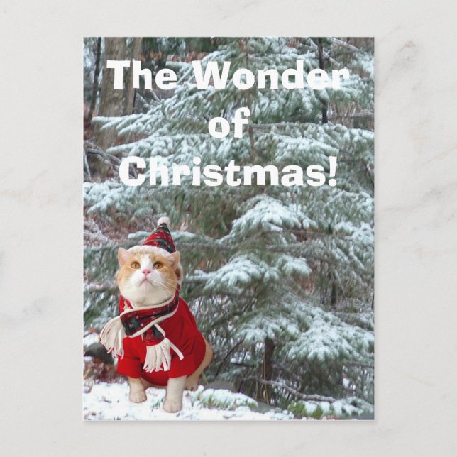 Under av jul! helg vykort (Framsida)