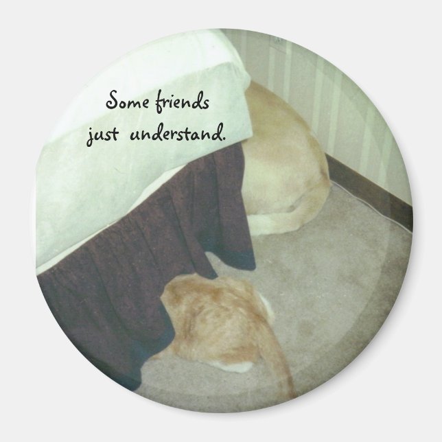 Under Bed Magnet (Framsidan)