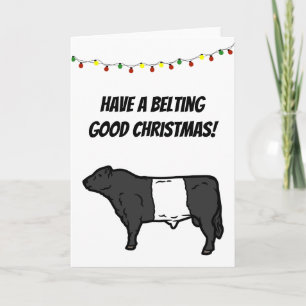 Under Bra jul under Galloway Beltie Cow  Kort