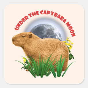 Under Capybara-månen Sött Djur Fyrkantigt Klistermärke