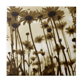 Under daisy kakelplatta