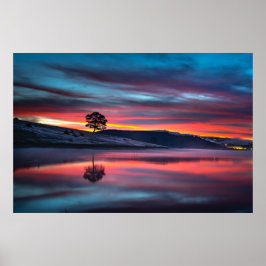 Under den gyllene timmen reflekterar Träd på en kr Poster