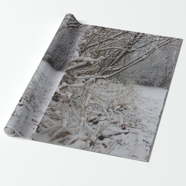 Under ett snötäcke presentpapper (Utrullad)