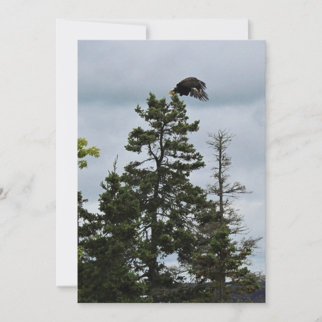 Under flygning (Framsida)