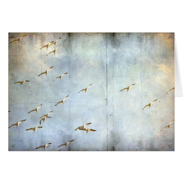 Under flygning hälsningskort (Framsidan Horizontal)