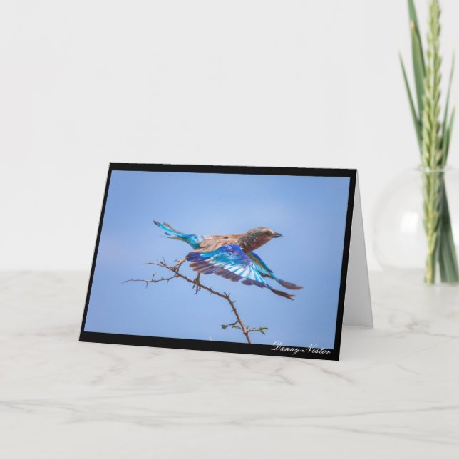 Under flygning kort (Framsida)