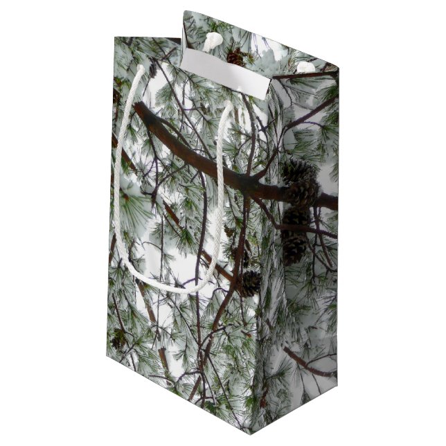 Under Gräs Winter Photo under Snö täckte Träd (Baksidan Vinklad)