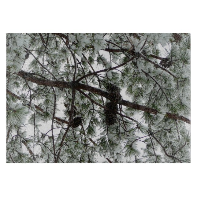 Under Gräs Winter Photo under Snö täckte Träd (Framsidan)