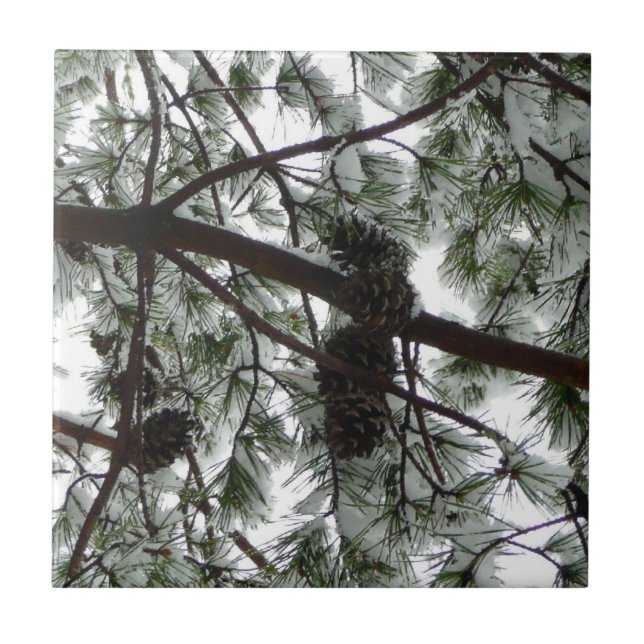 Under Gräs Winter Photo under Snö täckte Träd Kakelplatta (Framsidan)