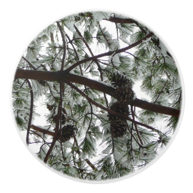 Under Gräs Winter Photo under Snö täckte Träd Knopp (Framsidan)