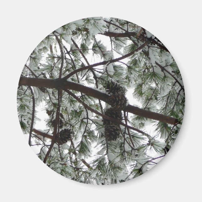 Under Gräs Winter Photo under Snö täckte Träd Magnet (Framsidan)