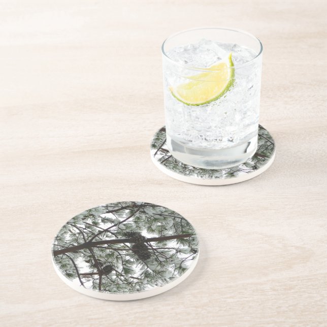 Under Gräs Winter Photo under Snö täckte Träd Underlägg Sandsten (Sidan)