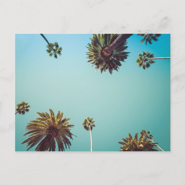 Under handflatan, vykort för fotoresor (Framsida)