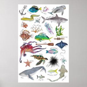 Under havet Alfabet Poster