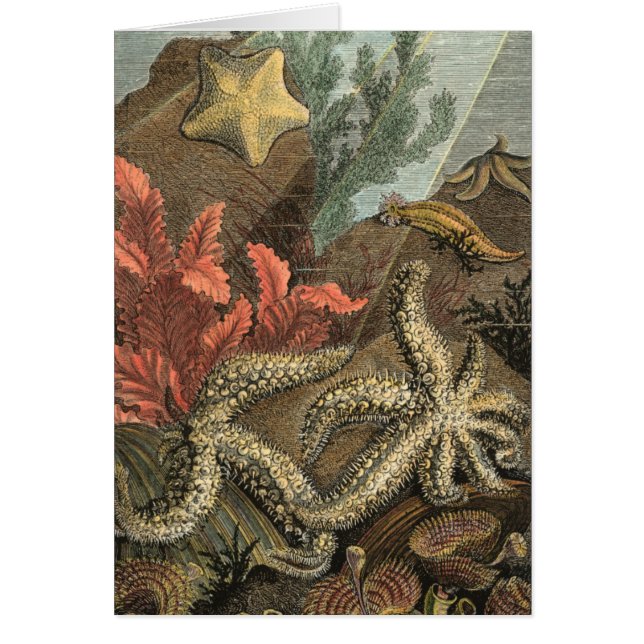 Under havet hälsningskort (Framsidan)