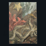 Under havet kökshandduk<br><div class="desc">Gå under vattnet för att utforska havet med alla dessa olika havslevande varelser. Denna vintage biet av konst är en perfekt som tillfogas varje älskare av anemon. Den fångar sjöliv med stjärnfiskar,  kelp,  sjögräs och andra havslevande varelser. Få din konst utskriven idag på din produkt.</div>