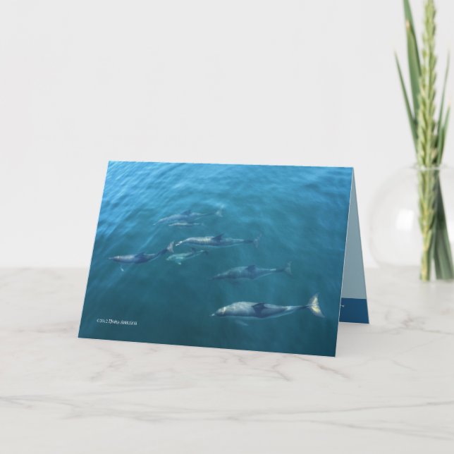 Under havet kort (Framsida)