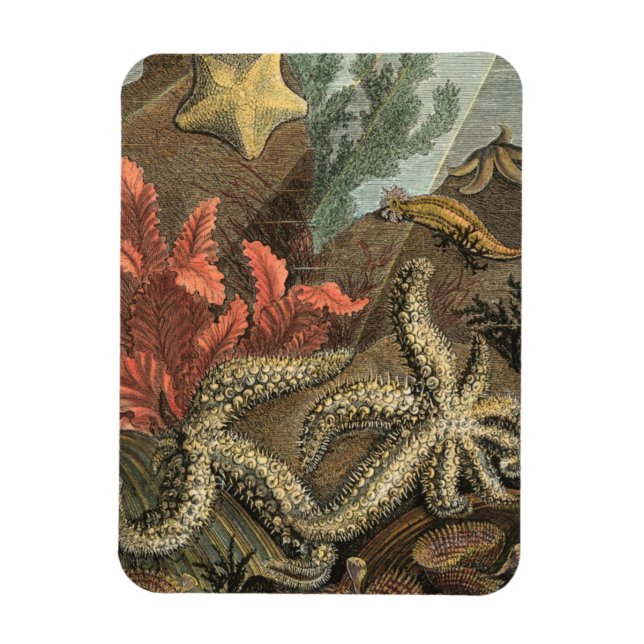 Under havet magnet (Vertikal)