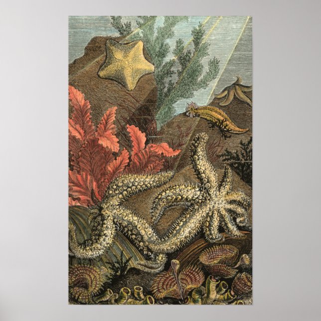 Under havet poster (Framsidan)