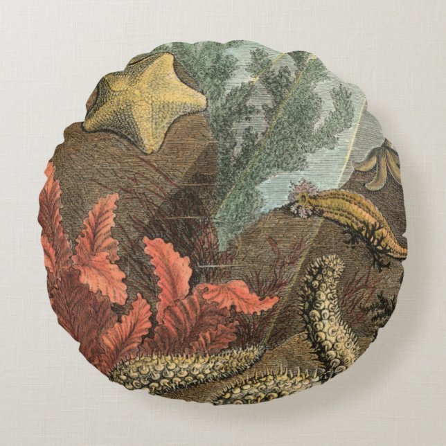 Under havet rund kudde (Framsidan)