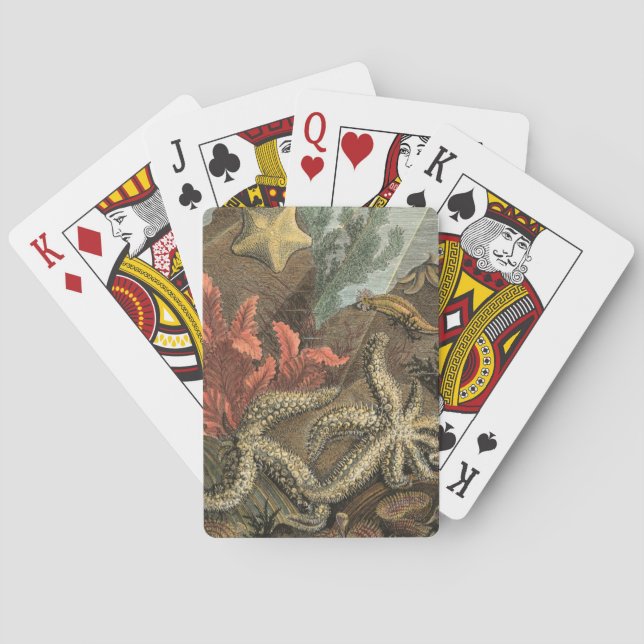 Under havet spel kort (Baksidan)
