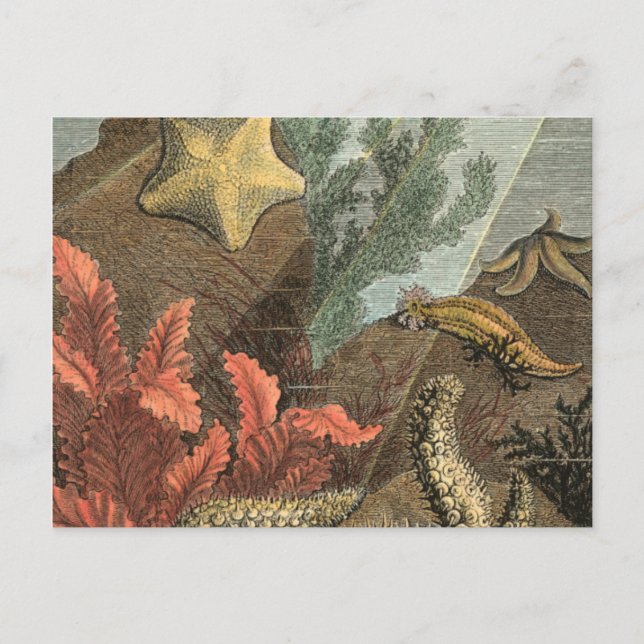 Under havet vykort (Framsida)