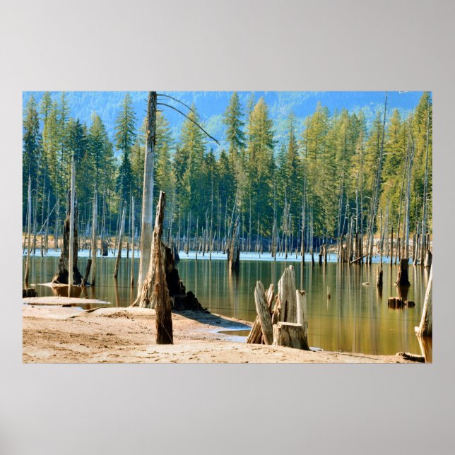 Under linjen vatten ligger de stiga upp dödskallar poster (Framsidan)