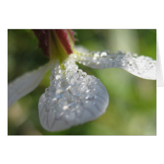 Under mitt paraplykort hälsningskort