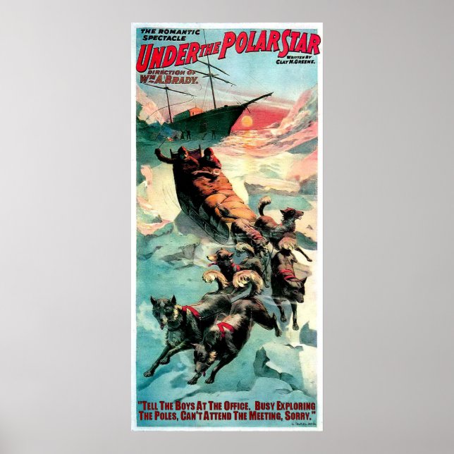 UNDER POLAR STAR POSTER (Framsidan)