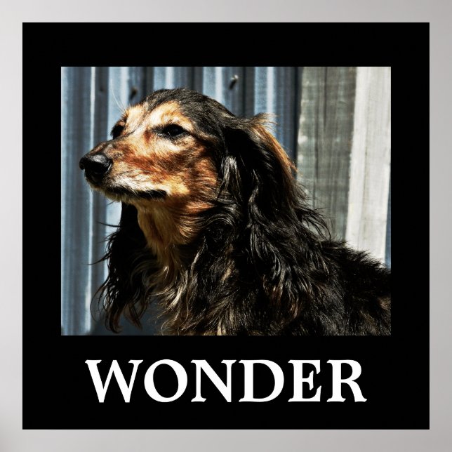 Under Poster (Framsidan)