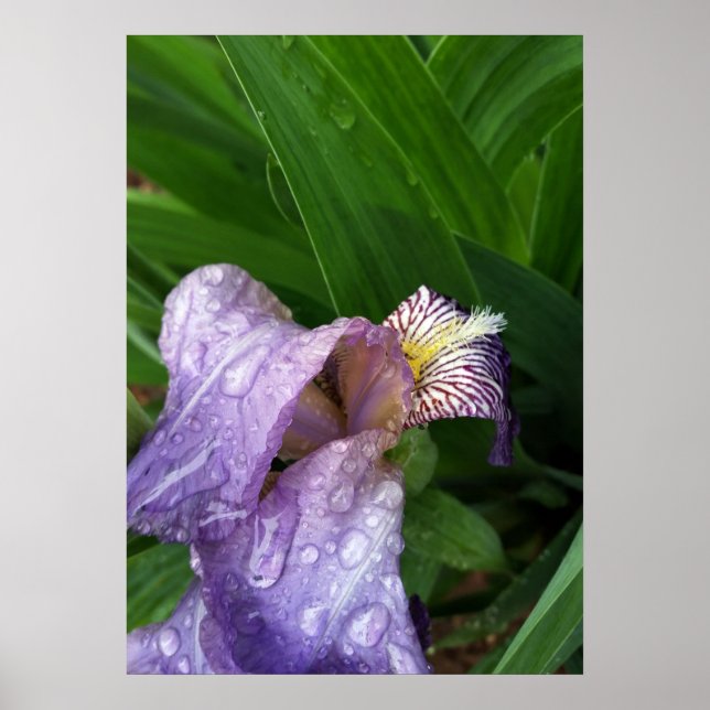 under regnet poster (Framsidan)