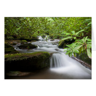 Under Rhododendronkortet Hälsningskort