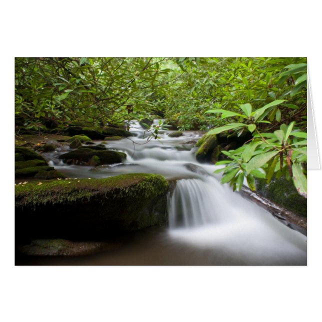 Under Rhododendronkortet Hälsningskort (Framsidan Horizontal)