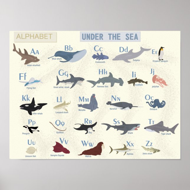 Under Sea Alphabet Poster (Framsidan)
