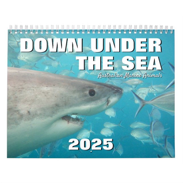 Under Sea Australia Marine Animals Kalender (Omslag)