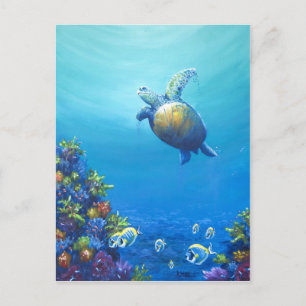 Under Sea Life Vykort