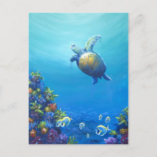 Under Sea Life Vykort