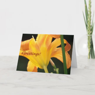 Under Sol, Hälsning! Kort