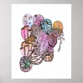 Under the Sea 01 Poster