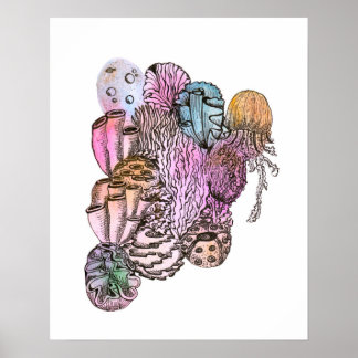 Under the Sea 01 Poster