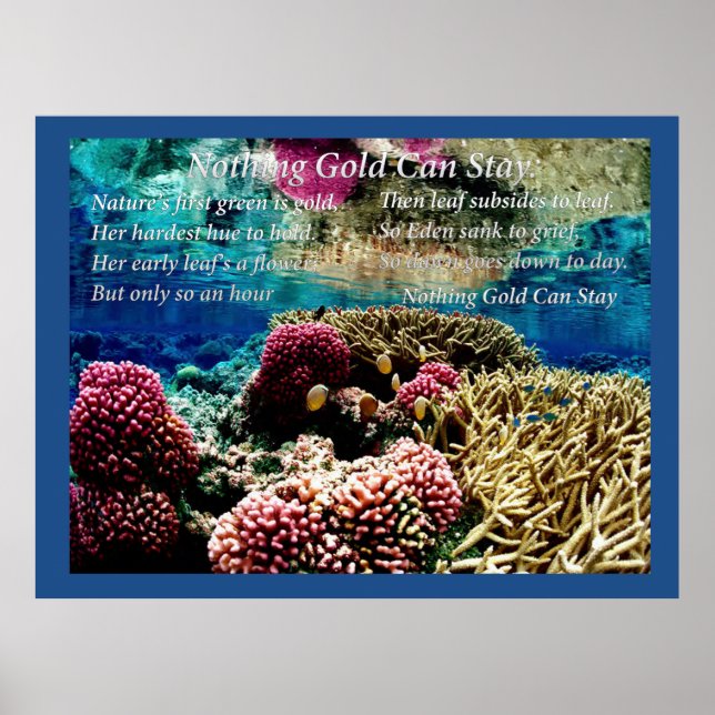 Under Vatten Poster (Framsidan)