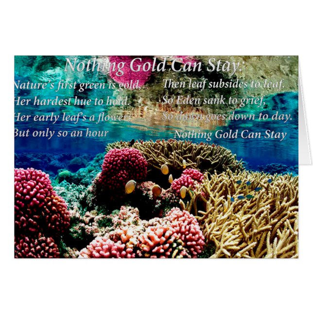 Under Vatten sjökorall och två clown fish Hälsningskort (Framsidan Horizontal)