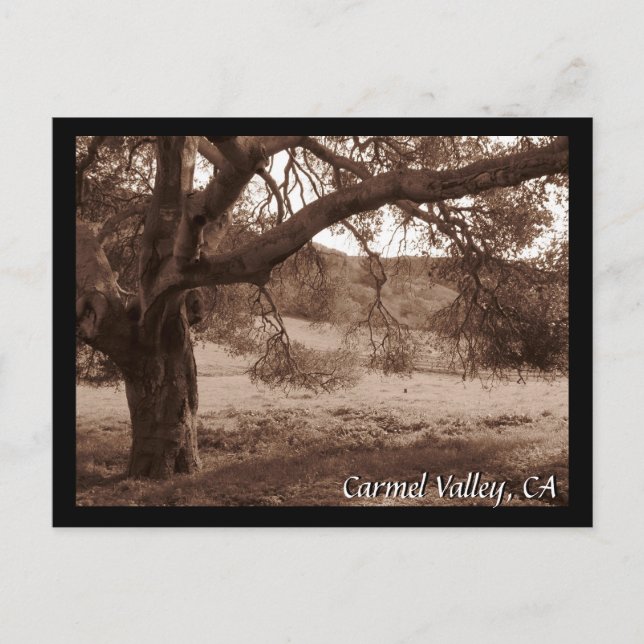 Under vykortet Oaks Vykort (Framsida)