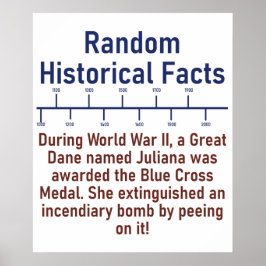 Under WWII A Great dane - Historikfakta Poster