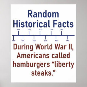 Under WWII kallade amerikaner Hamburgers - History Poster