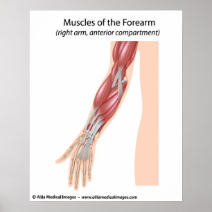 Underarmen tränga sig in anterior beskådar poster