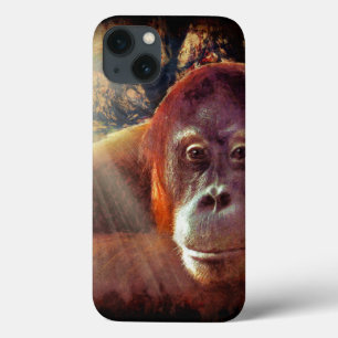Underbar Ape Orangutan Wildlife Animal-Älskare