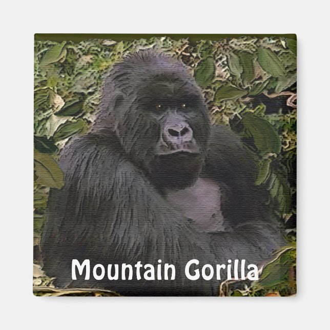 Underbar apes Art Magnet, utrotningshotad bergsgor Magnet (Framsidan)