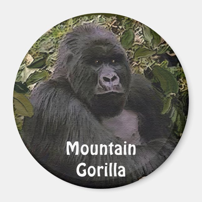 Underbar apes Art Magnet, utrotningshotad bergsgor Magnet (Framsidan)