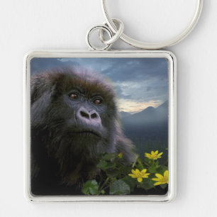 Underbar Apes Gorilla Primate Wildlife Keychain Fyrkantig Silverfärgad Nyckelring